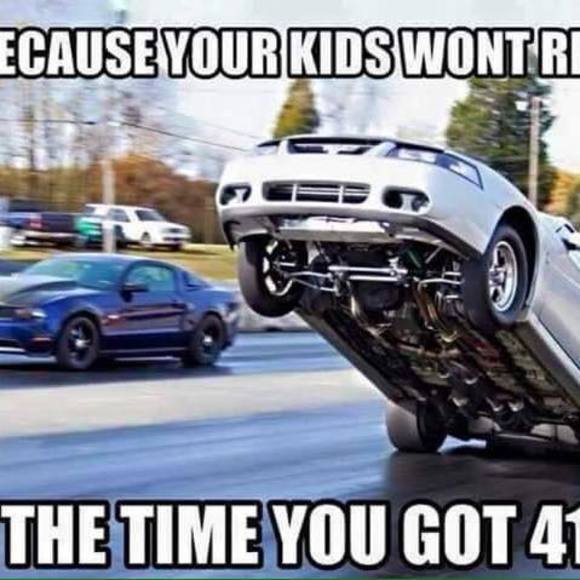 Meet your Posher, Ralphy - Picture 1 of 1